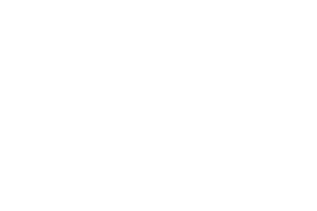 Full Experience: The Magician of Paris & The Funhouse